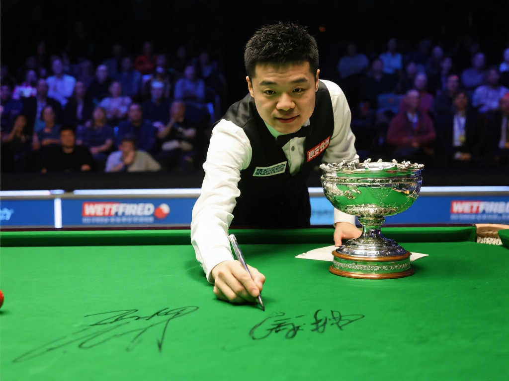 参考一些顶 参考一些顶